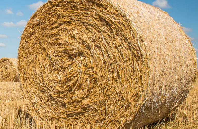 The PROGRESSIVE DENSITY PLUS pressure boosting system provides 10% higher density in dry crops