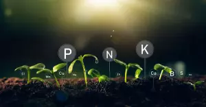 example of different soil nutrients like nitrogen, phosphorus, potassium